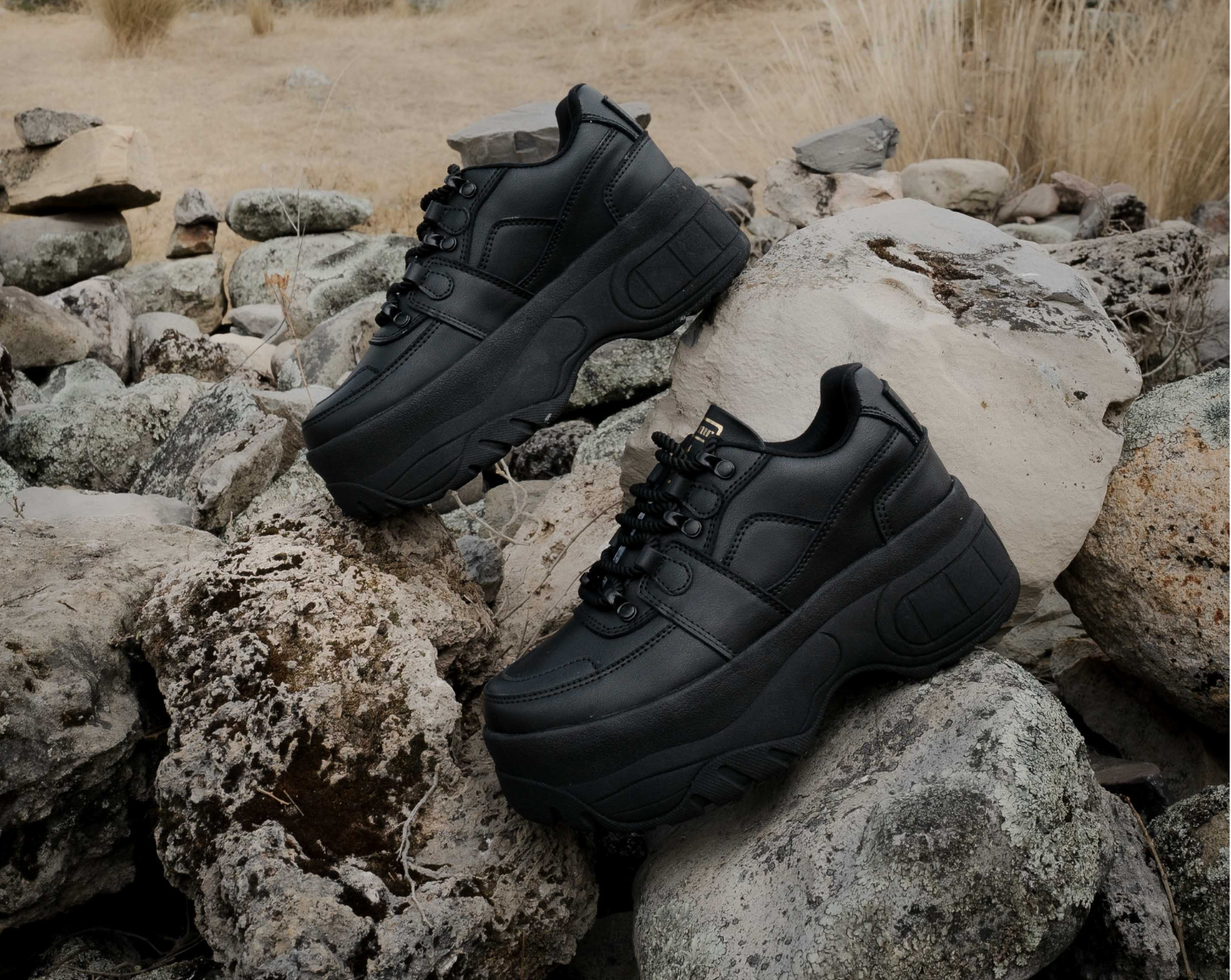 Wolf Black