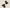 Heartcore Negro Charol