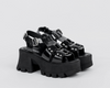 Hades Charol Negro