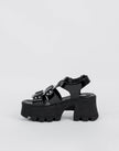 Hades Charol Negro