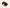Tenis Dark